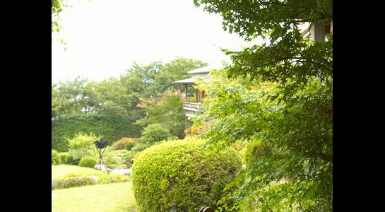 img20160530142531200569.jpg